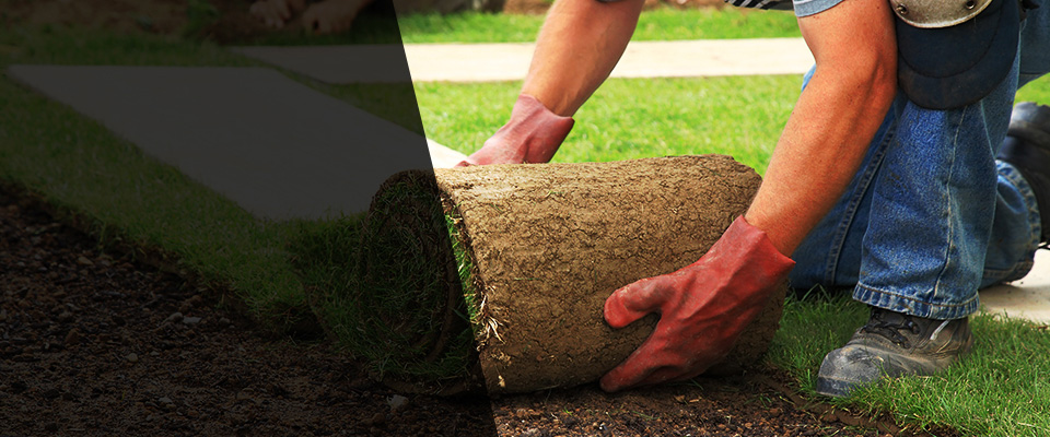 Lexington Landscapers